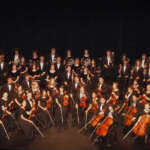 LVA Orchestra Photo Gallery