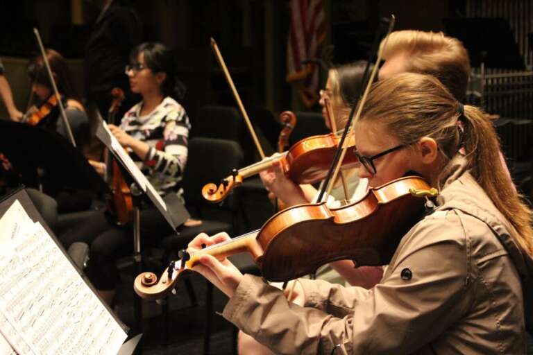 LVA Orchestra Photo Gallery